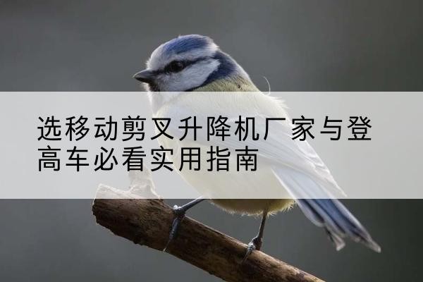 曲阳电动升降机厂家-选移动剪叉升降机厂家与登高车必看实用指南
