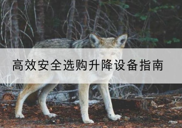 曲阳升降货梯厂家推荐-*安全选购升降设备指南