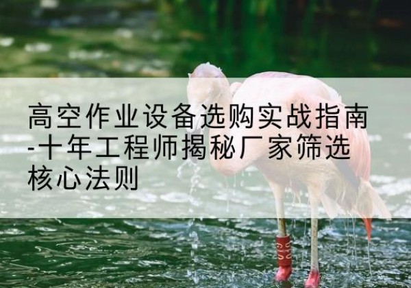 曲阳剪叉式升降机厂家-高空作业设备选购实战指南-十年工程师揭秘厂家筛选核心法则